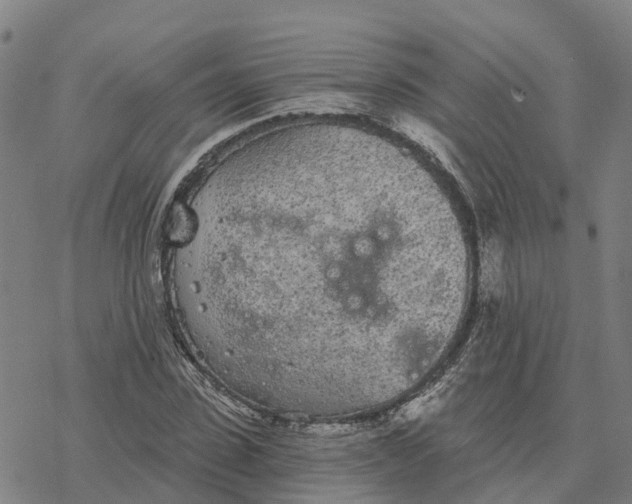 X0000076420923200610271704