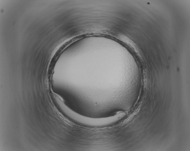 X0000076420924200610271704