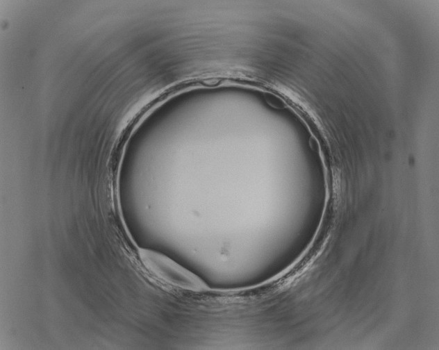 X0000076420925200610271704