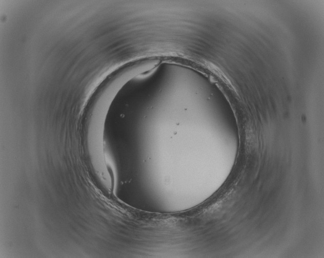 X0000076420926200610271704