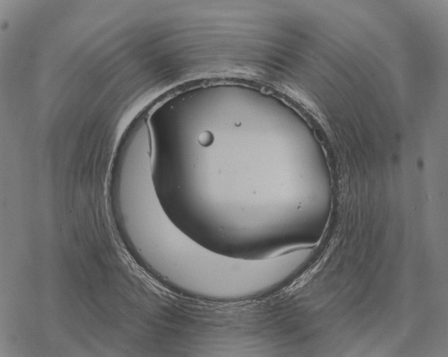 X0000076420928200610271704