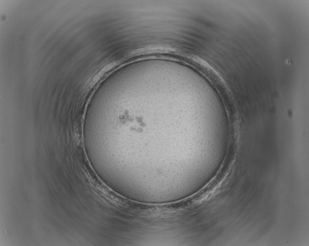 X0000076420929200610271704