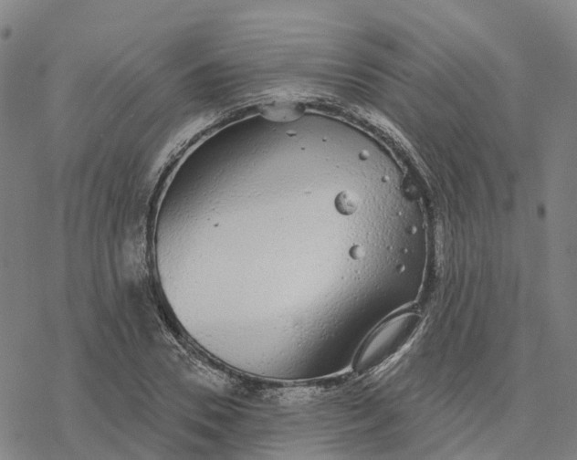 X0000076420930200610271704