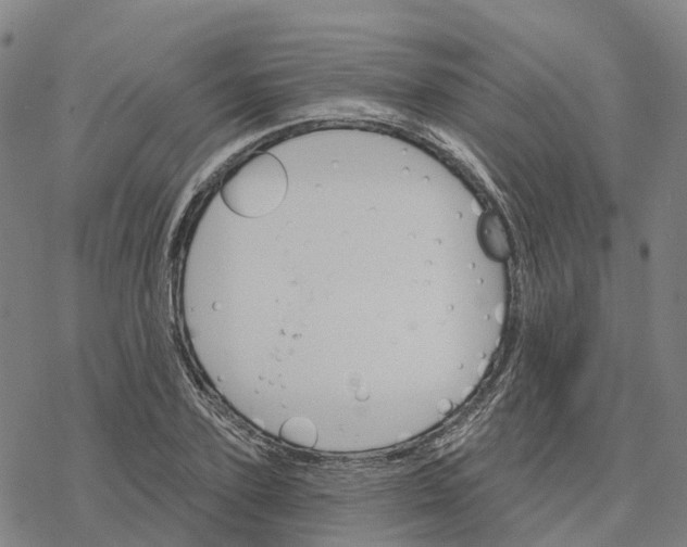 X0000076420931200610271704