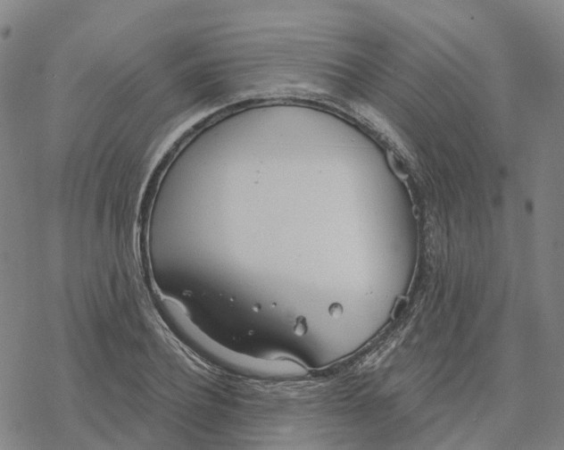 X0000076420932200610271704