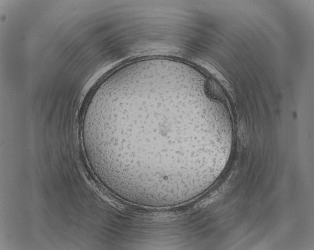 X0000076420933200610271704