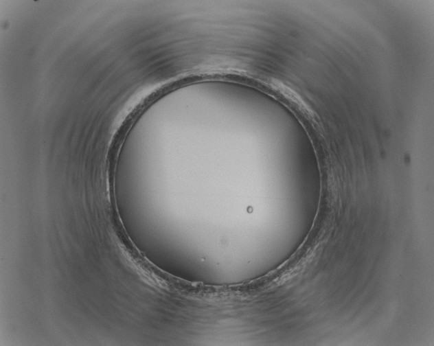 X0000076420934200610271704