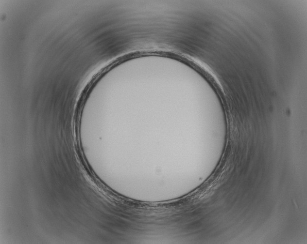 X0000076420935200610271704