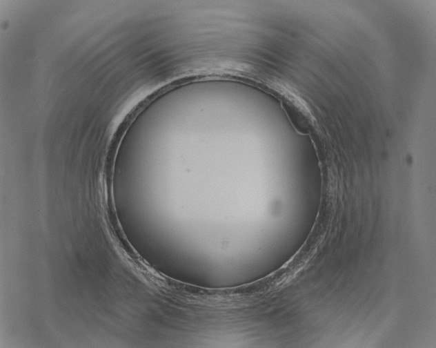 X0000076420936200610271704