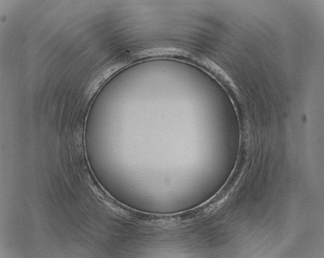 X0000076420937200610271704