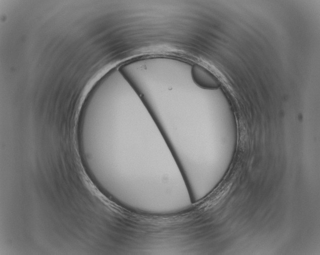 X0000076420939200610271704