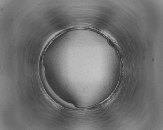 X0000076420940200610271704