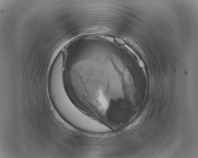 X0000076420941200610271704