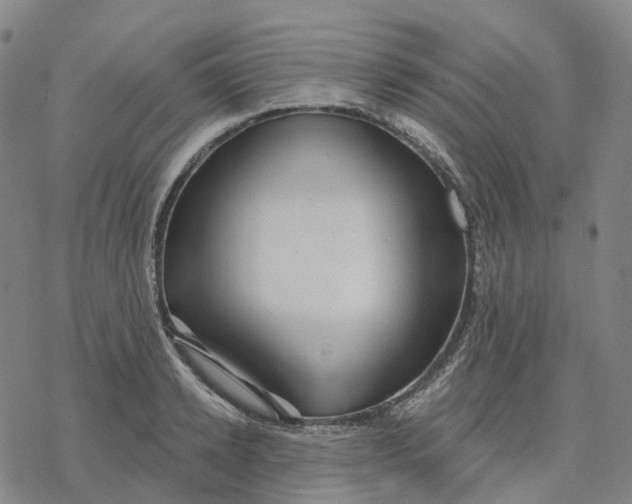 X0000076420942200610271704