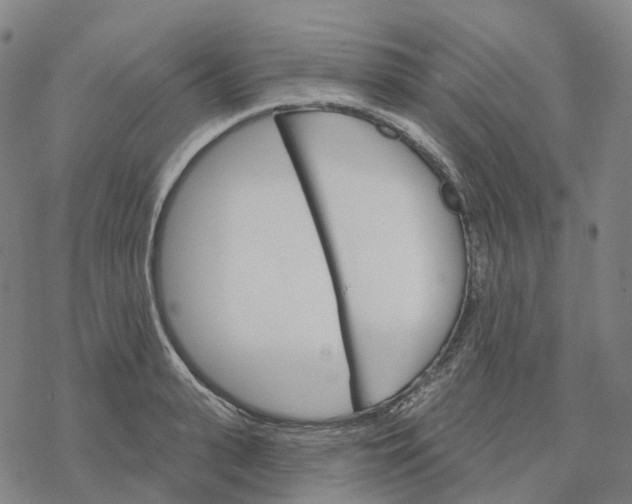 X0000076420943200610271704