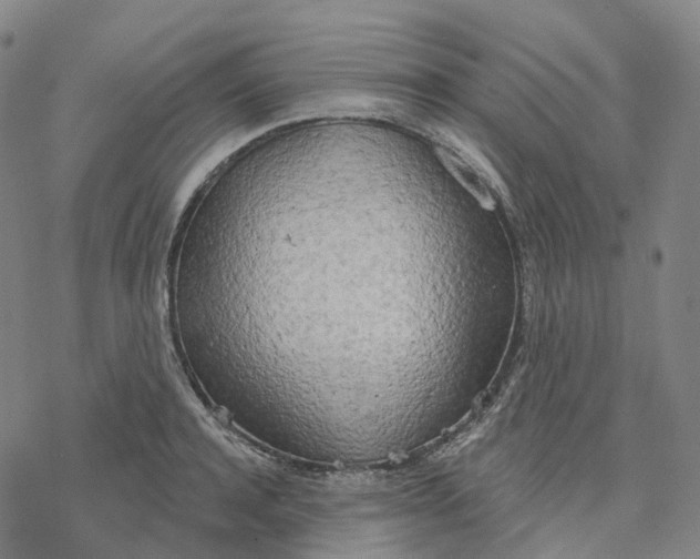 X0000076420944200610271704