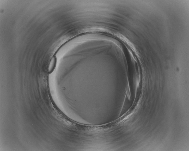 X0000076420945200610271704