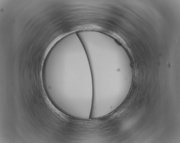 X0000076420947200610271704