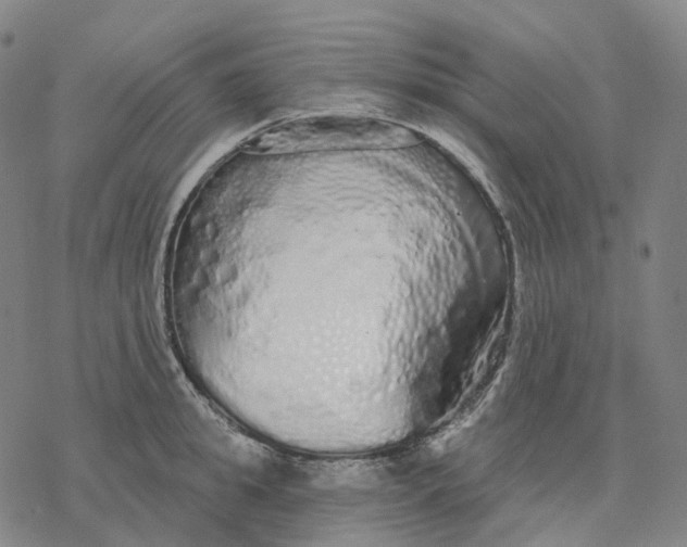 X0000076420949200610271704