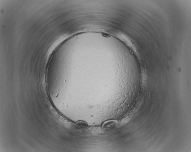 X0000076420952200610271705