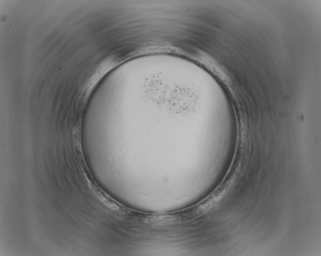 X0000076420953200610271705