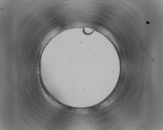 X0000076420954200610271705