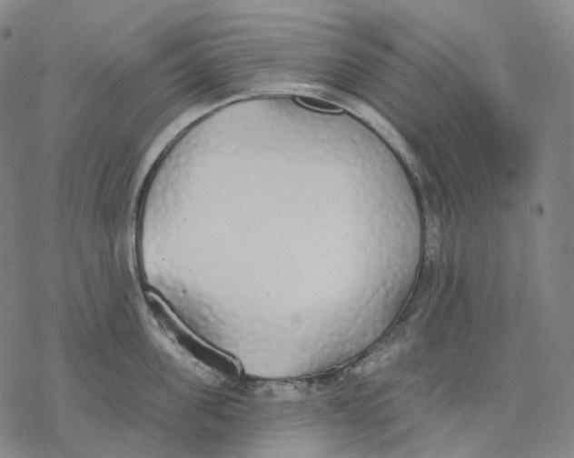 X0000076420955200610271705