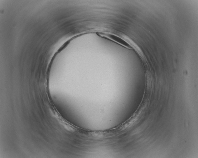 X0000076420956200610271705