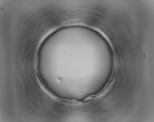 X0000076420957200610271705