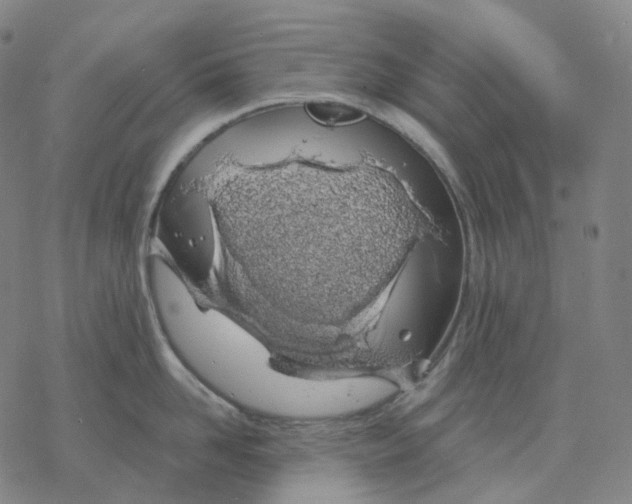 X0000076420958200610271705