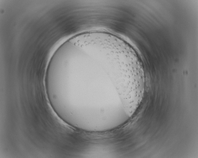 X0000076420959200610271705