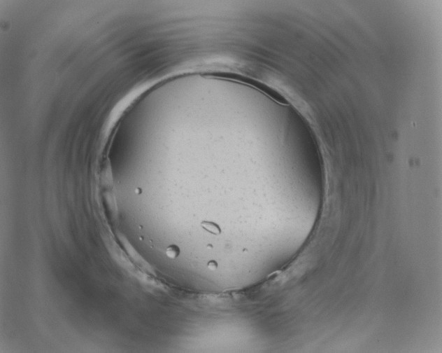 X0000076420960200610271705