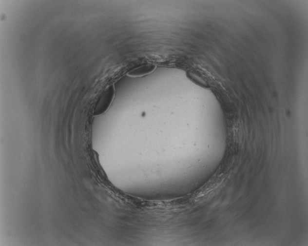 X0000076420961200610271704