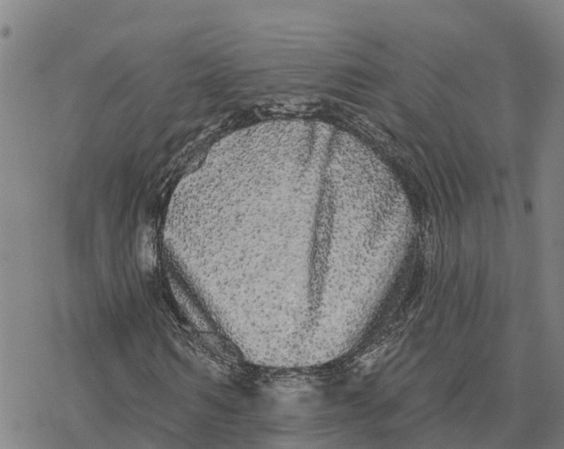 X0000076420962200610271704