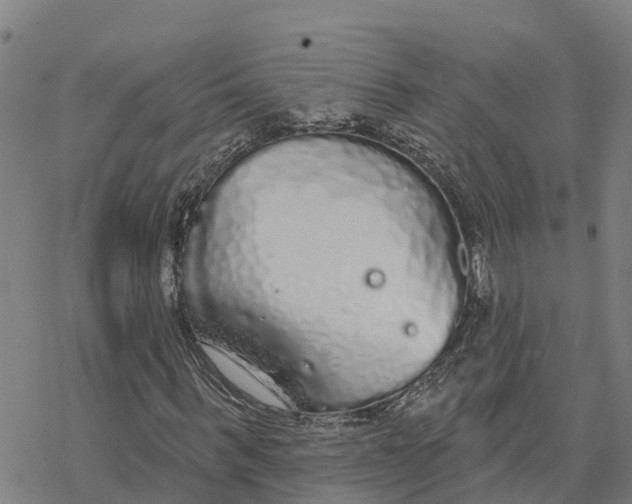 X0000076420963200610271704