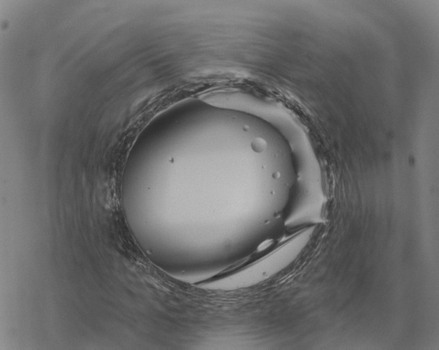 X0000076420965200610271704