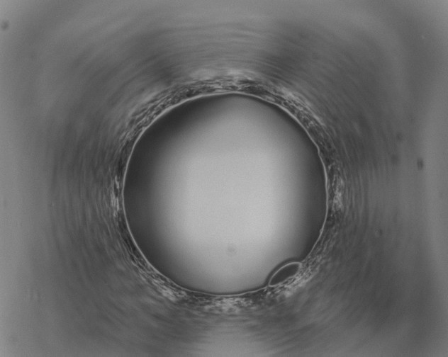 X0000076420966200610271704