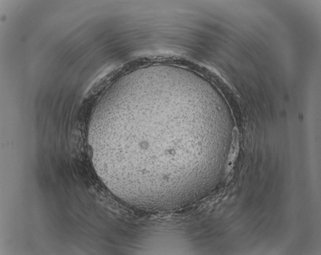 X0000076420967200610271704