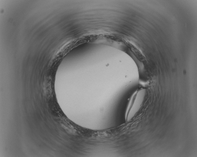 X0000076420968200610271704