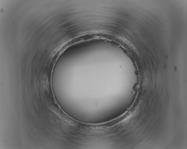 X0000076420969200610271704