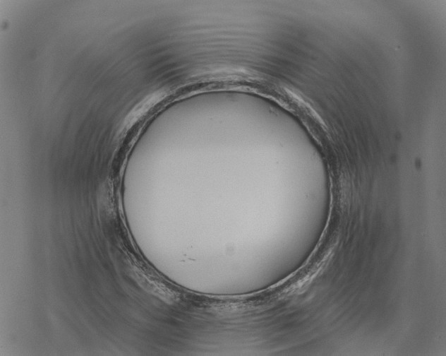 X0000076420970200610271704