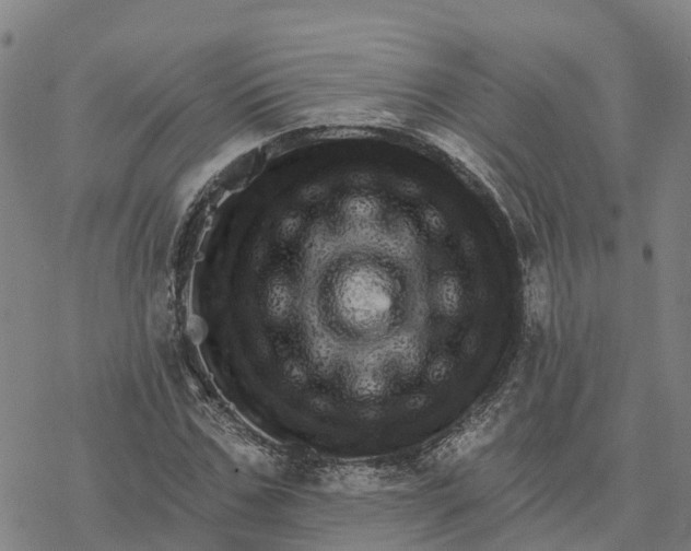 X0000076420971200610271704