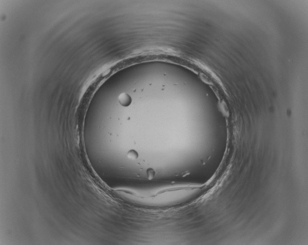 X0000076420973200610271704