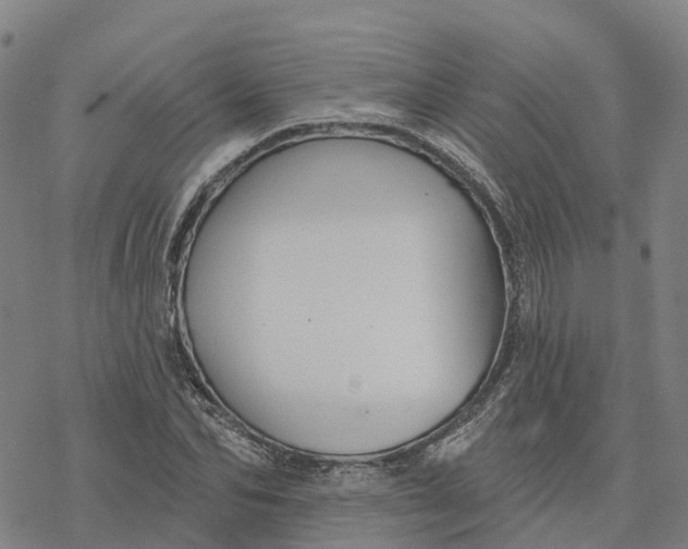 X0000076420974200610271704