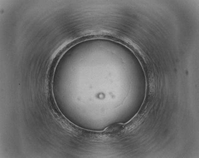 X0000076420975200610271704