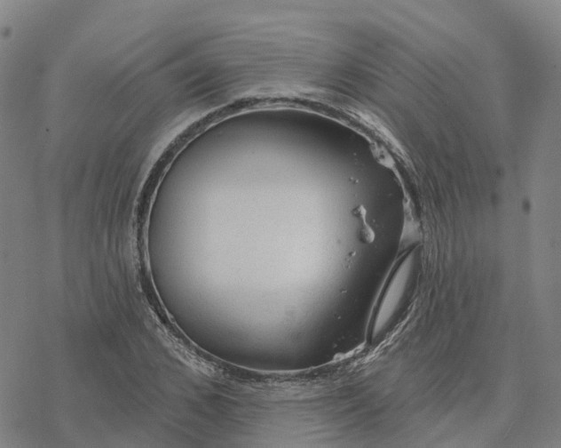 X0000076420976200610271704