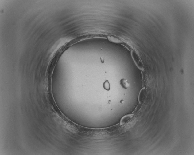 X0000076420979200610271704