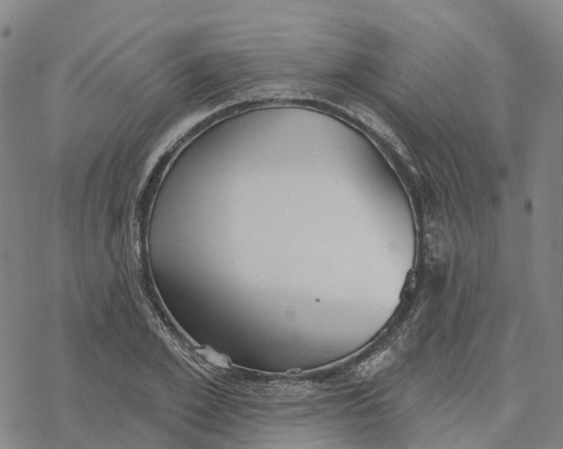 X0000076420981200610271704