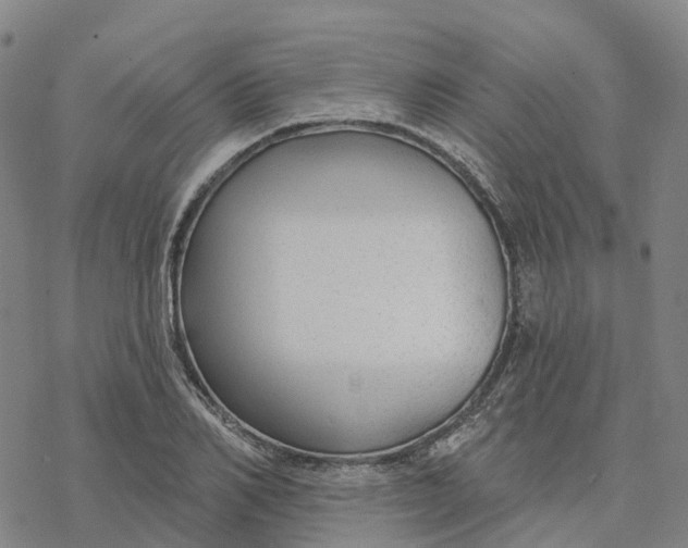 X0000076420982200610271704