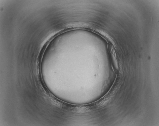 X0000076420983200610271704